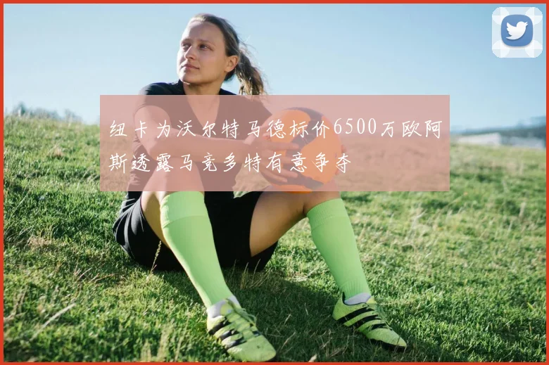 纽卡为沃尔特马德标价6500万欧阿斯透露马竞多特有意争夺